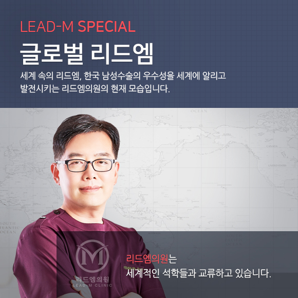 글로벌 리드엠